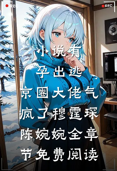 小说有孕出逃，京圈大佬气疯了穆霆琛陈婉婉全章节免费阅读