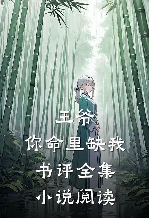 王爷,你命里缺我书评全集小说阅读