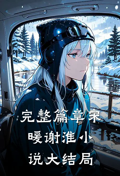 完整篇章宋暖谢淮小说大结局