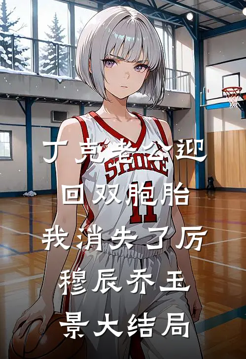 丁克老公迎回双胞胎，我消失了厉穆辰乔玉景大结局