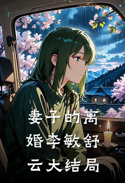 妻子的离婚李敏舒云大结局