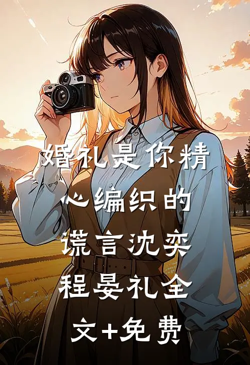 婚礼是你精心编织的谎言沈奕程晏礼全文+免费