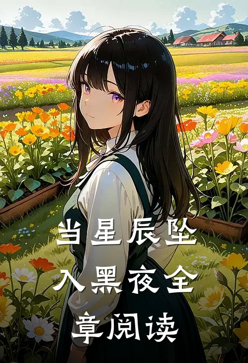 当星辰坠入黑夜全章阅读