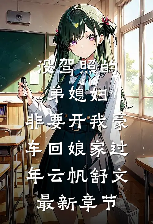 没驾照的弟媳妇，非要开我豪车回娘家过年云帆舒文最新章节
