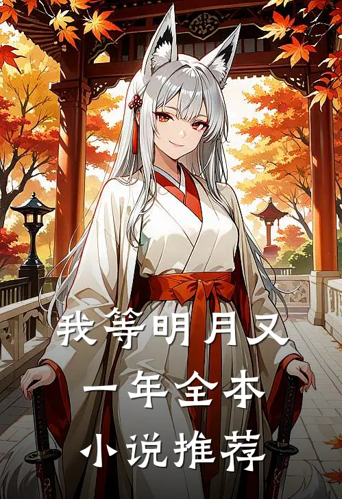 我等明月又一年全本小说推荐