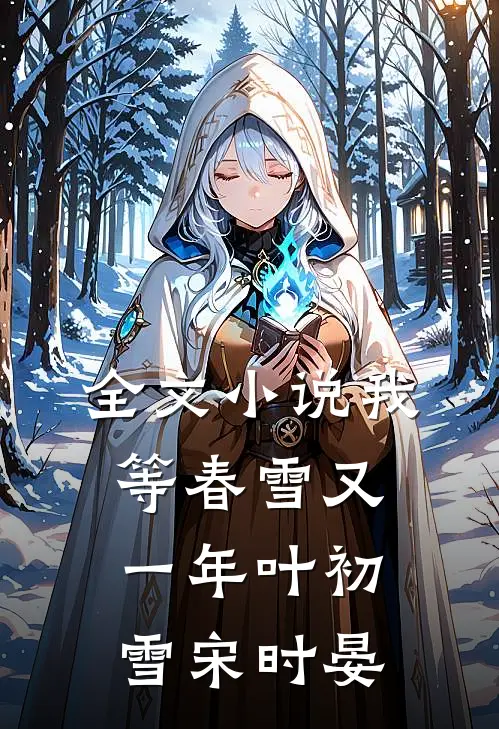 全文小说我等春雪又一年叶初雪宋时晏
