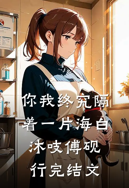 你我终究隔着一片海白沐吱傅砚行完结文