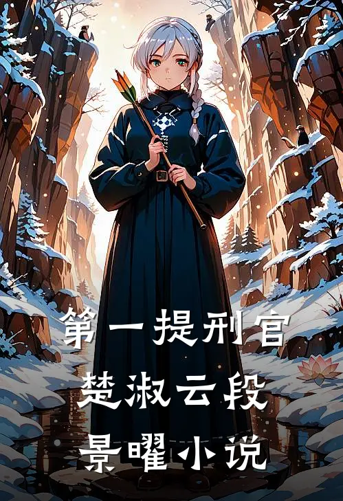第一提刑官楚淑云段景曜小说