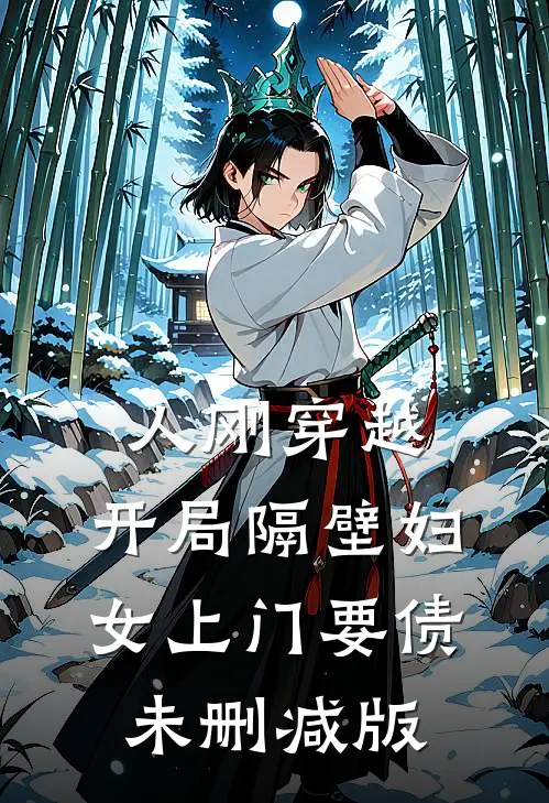 人刚穿越，开局隔壁妇女上门要债未删减版