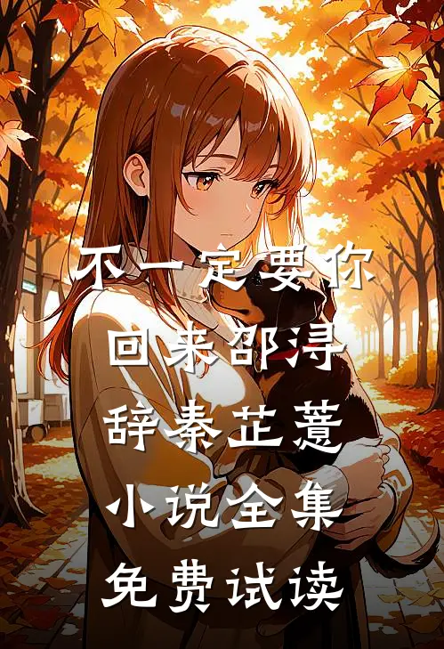 不一定要你回来邵浔辞秦芷薏小说全集免费试读