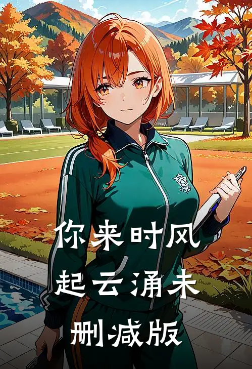 你来时风起云涌未删减版