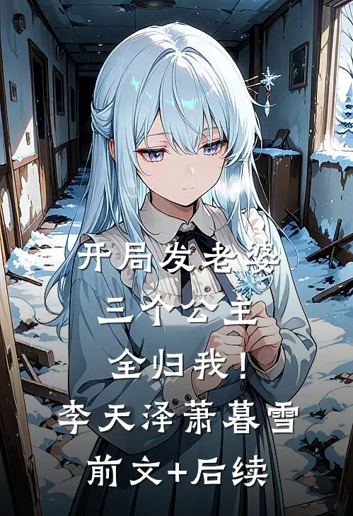 开局发老婆，三个公主全归我！李天泽萧暮雪前文+后续