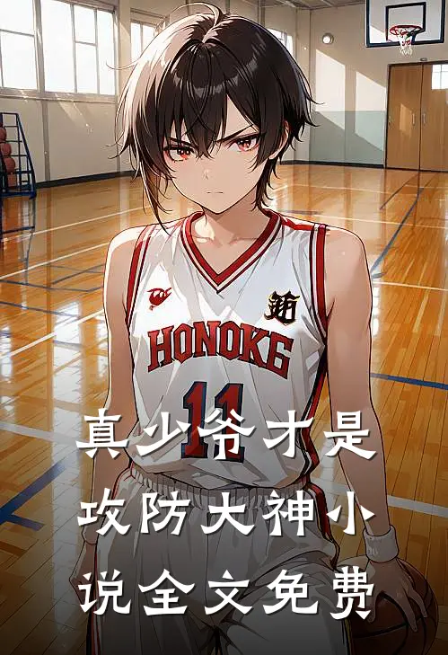 真少爷才是攻防大神小说全文免费