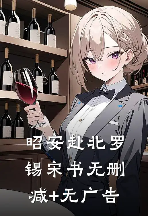 昭安赴北罗锡宋书无删减+无广告
