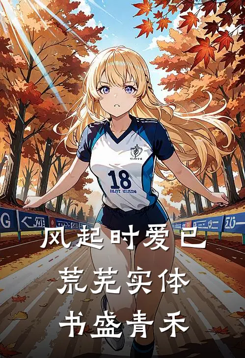 风起时爱已荒芜实体书盛青禾