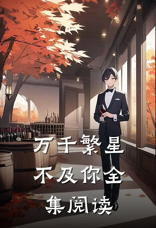 万千繁星不及你全集阅读