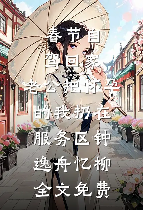 春节自驾回家，老公把怀孕的我扔在服务区钟逸舟忆柳全文免费