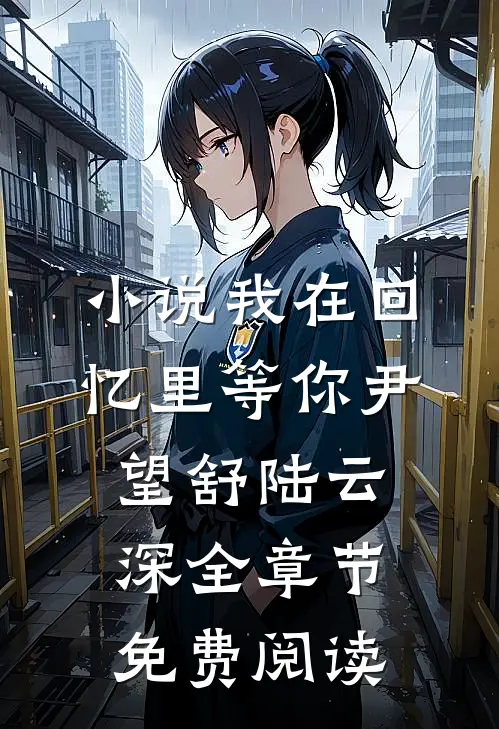 小说我在回忆里等你尹望舒陆云深全章节免费阅读