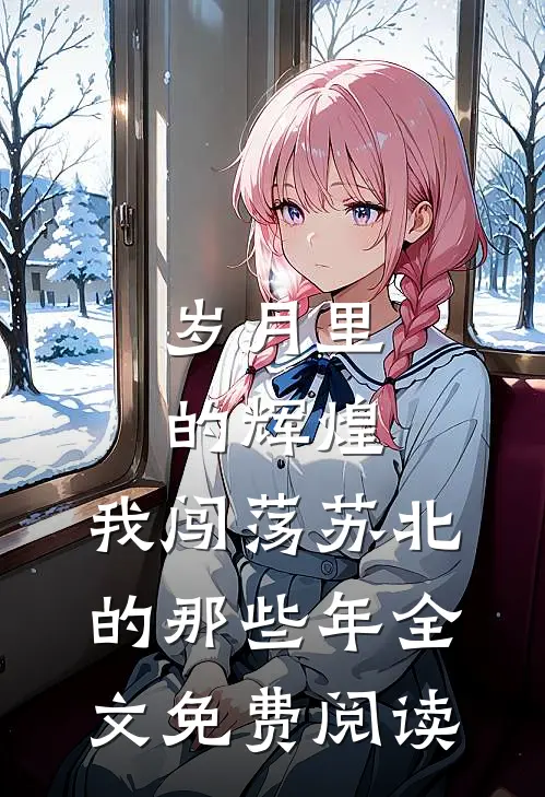 岁月里的辉煌：我闯荡苏北的那些年全文免费阅读