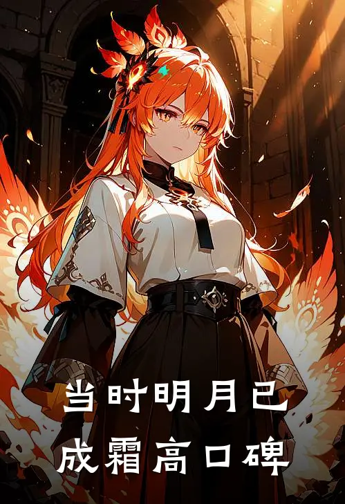 当时明月已成霜高口碑