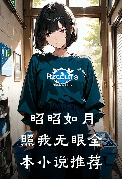 昭昭如月，照我无眠全本小说推荐