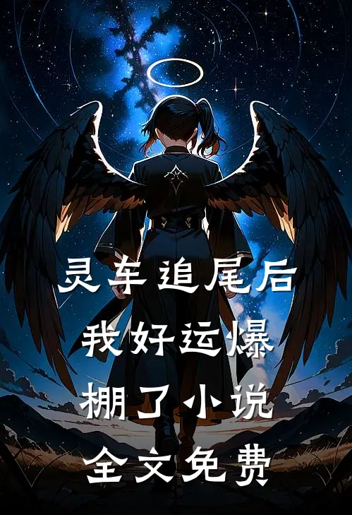 灵车追尾后，我好运爆棚了小说全文免费