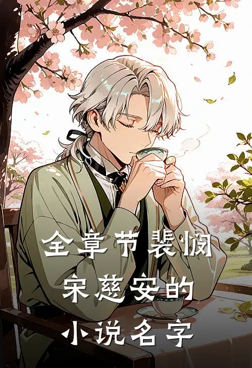 全章节裴悯宋慈安的小说名字