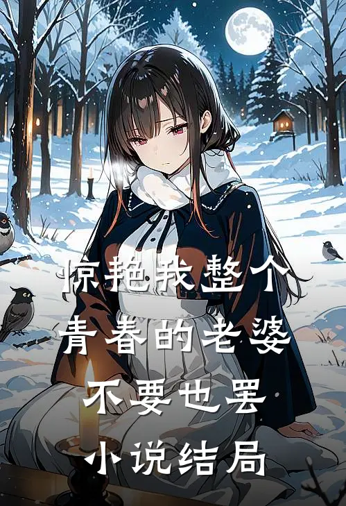 惊艳我整个青春的老婆，不要也罢小说结局