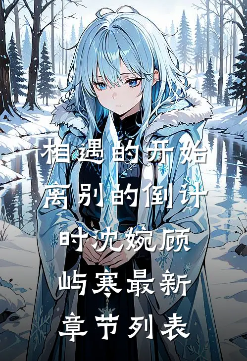 相遇的开始，离别的倒计时沈婉顾屿寒最新章节列表