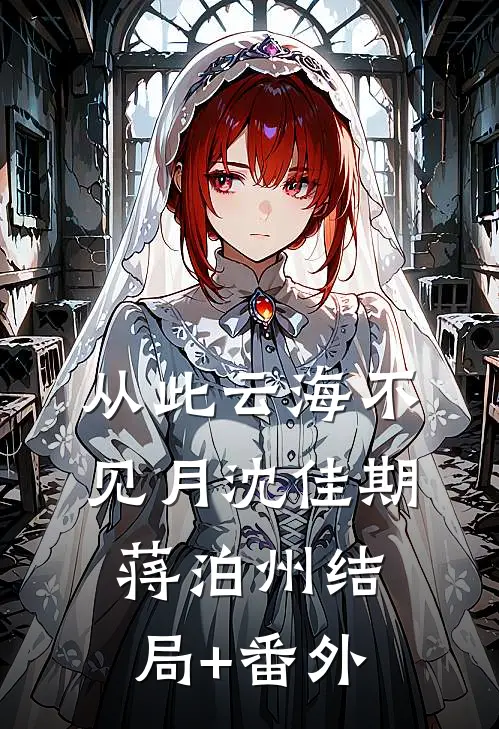从此云海不见月沈佳期蒋泊州结局+番外