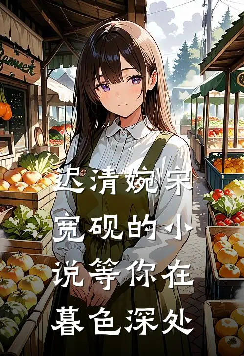 迟清婉宋宽砚的小说等你在暮色深处