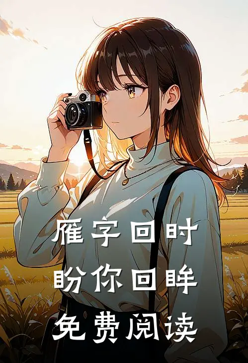 雁字回时盼你回眸免费阅读