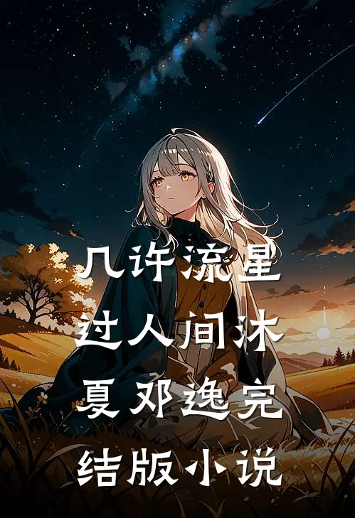 几许流星过人间沐夏邓逸完结版小说