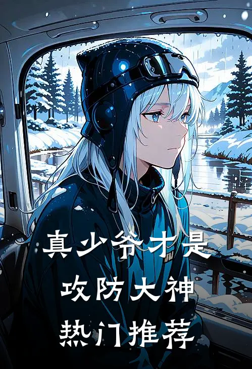 真少爷才是攻防大神热门推荐